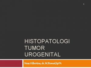 1 HISTOPATOLOGI TUMOR UROGENITAL Noza Hilbertina dr M