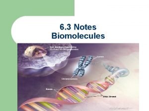 6 3 Notes Biomolecules Biomolecules notes outline 4