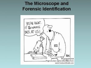 Forensic magnifier