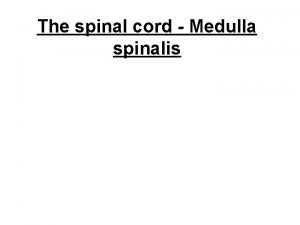 The spinal cord Medulla spinalis The development of