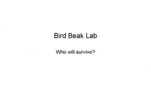 Bird Beak Lab Who will survive Instructions Take