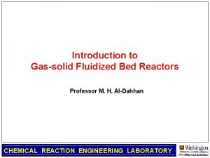 Introduction to Gassolid Fluidized Bed Reactors Professor M
