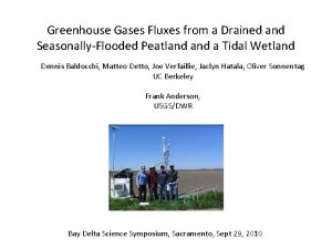 Greenhouse Gases Fluxes from a Drained and SeasonallyFlooded