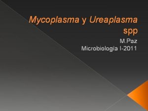 Mycoplasma y Ureaplasma spp M Paz Microbiologa I2011