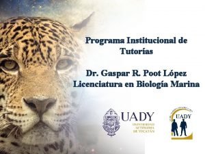 Programa Institucional de Tutoras Dr Gaspar R Poot