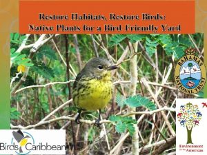 Restore Habitats Restore Birds Native Plants for a