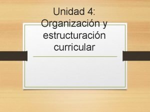 Plan curricular lineal ejemplo