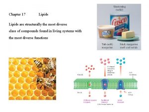 Chapter 17 Lipids are structurally the most diverse