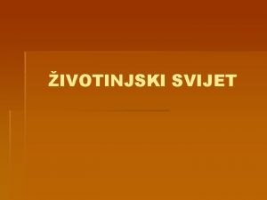 IVOTINJSKI SVIJET ZOOLOGIJA Zoologija gr zoon ivotinja logos