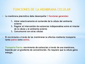 FUNCIONES DE LA MEMBRANA CELULAR La membrana plasmtica