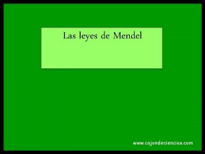 Las leyes de Mendel www cajondeciencias com A