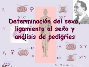 Que es ligamiento al sexo