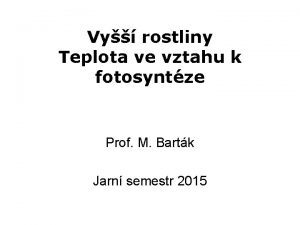 Vy rostliny Teplota ve vztahu k fotosyntze Prof