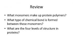 What monomers make up protein