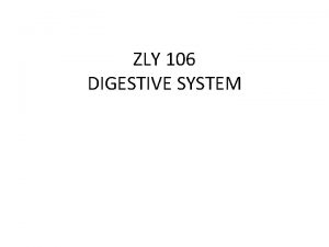 ZLY 106 DIGESTIVE SYSTEM THE DIGESTIVE SYSTEM IN
