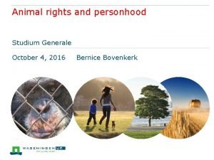 Animal rights and personhood Studium Generale October 4