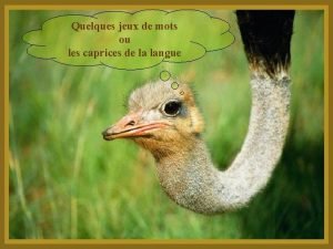 Quelques jeux de mots ou les caprices de