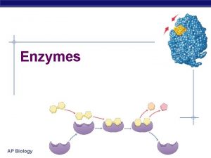 Enzymes AP Biology Enzymes Biological catalysts u u