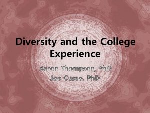 Diversity and the college experience