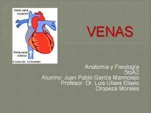 Fisiología del sistema venoso