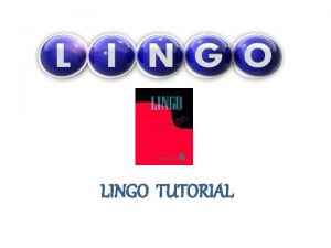 What is lingo lingo