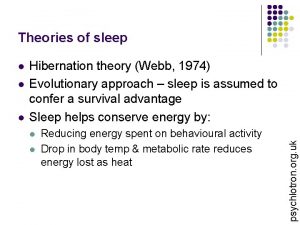 Theories of sleep l l Hibernation theory Webb