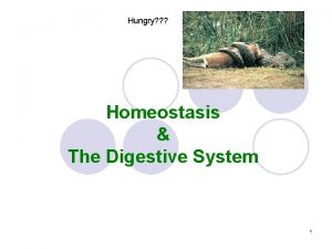 Hungry Homeostasis The Digestive System 1 Nutritional requirements