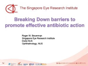 The Singapore Eye Research Institute Breaking Down barriers