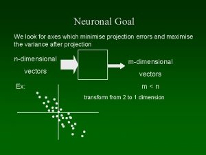 Neuronal Goal We look for axes which minimise