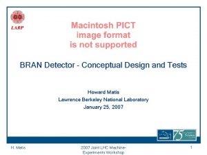 BRAN Detector Conceptual Design and Tests Howard Matis