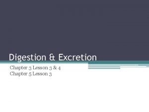 Digestion and excretion lesson 3