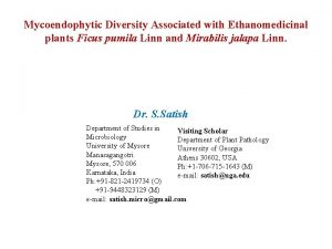 Mycoendophytic Diversity Associated with Ethanomedicinal plants Ficus pumila