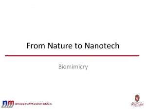 From Nature to Nanotech Biomimicry University of Wisconsin