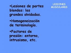 Lesiones de partes blandas las grandes olvidadas Homogeneizacin