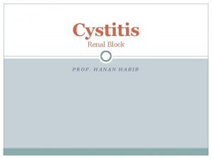 Cystitis Renal Block PROF HANAN HABIB Introduction Urinary
