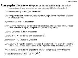 Caryophyllaceae floral formula