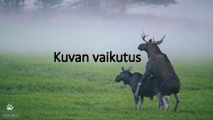 Kuvan vaikutus Ohjeet kuvan tulkitsijalle Ensimmisen kun viittaat