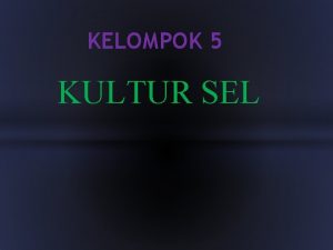 Pengertian kultur sel