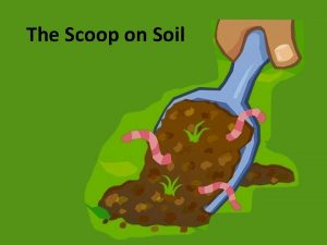 The scoop on soil