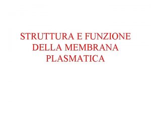 Funzioni delle proteine Funzioni delle proteine