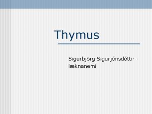 Thymus Sigurbjrg Sigurjnsdttir lknanemi Thymus tmgillhstarkirtill Stasettur anterior