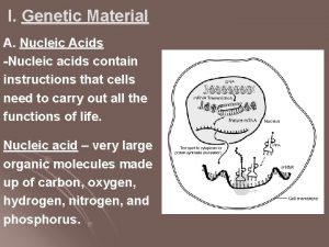 Nucleic acid made up of