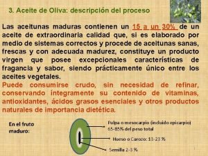 3 Aceite de Oliva descripcin del proceso Las