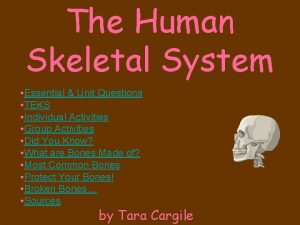 Questions about bones