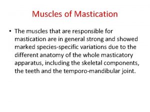 Muscles of Mastication The muscles that are responsible