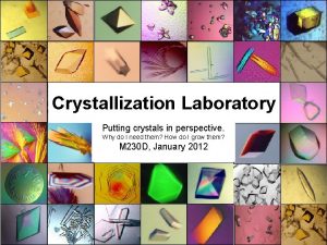 Protein crystallization