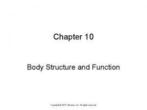 Chapter 10 body structure and function