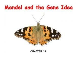 Mendel and the Gene Idea CHAPTER 14 What