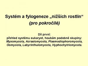 Systm a fylogeneze nich rostlin pro pokroil Dl