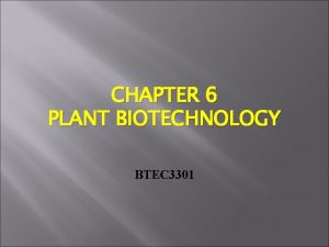 CHAPTER 6 PLANT BIOTECHNOLOGY BTEC 3301 INTRODUCTION Plant